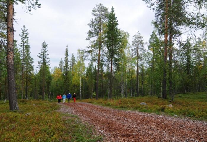Taruilevi 2 - Villa Levin Taiga - Cabin Close To The Center Of Levi Kittilä المظهر الخارجي الصورة